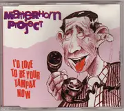 CD Single - Matterhorn Project - I'd Love To Be Your Tampax Now
