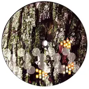 12'' - Matt Flores - Into The Night