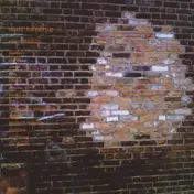 Matt Harding - Expectation