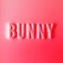CD - Matthew Dear - Bunny