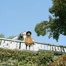 LP - Matthew 'Doc' Dunn - Some Horses Run - +insert