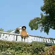 LP - Matthew 'Doc' Dunn - Some Horses Run - +insert