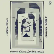MATTHEW E. WHITE - Broken Mirror: A Selfie Reflection