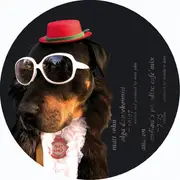 12'' - Matt John - Trampolin