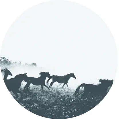 Matt O'Brien - Starting Over
