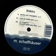 12inch Vinyl Single - Mathias Schaffhäuser - Nice To Meet You
