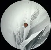 Maurice Aymard - Mellocoton EP