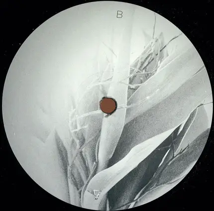 Maurice Aymard & J.e.e.p - Mellocoton EP