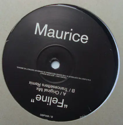 Maurice - Feline
