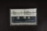 MC - Maurizio Vandelli - Se Nei '90...