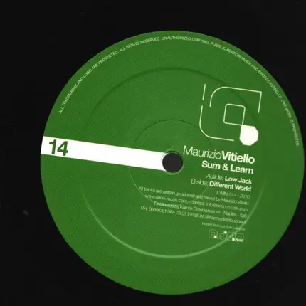 Maurizio Vitiello - Sum and Learn