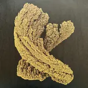 Double LP - Max Cooper - Emergence