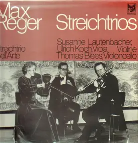 Max Reger - Opus 77b & Opus 141b - Streichtrios