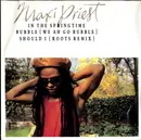 12inch Vinyl Single - Maxi Priest - In The Springtime