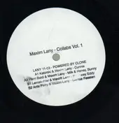 maxim lany - Collaborations