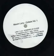 Maxim Lany - Collaborations