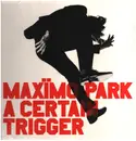 LP - Maximo Park - A certain trigger - Still Sealed