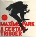 LP - Maxïmo Park - A Certain Trigger