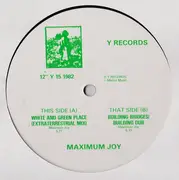 12inch Vinyl Single - Maximum Joy - White And Green Place