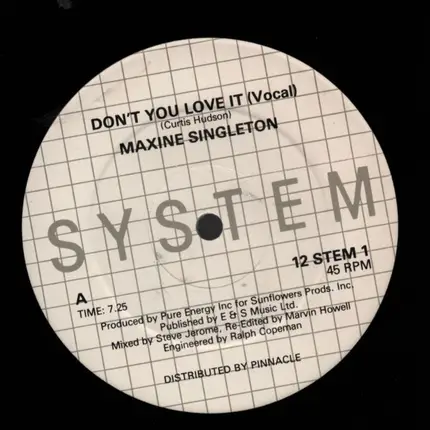 Maxine Singleton - Don't You Love It (Remix)