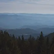 The Robot Needs Home Col. / Cargo