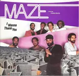 maze feel that you're feelin コレクション レコード