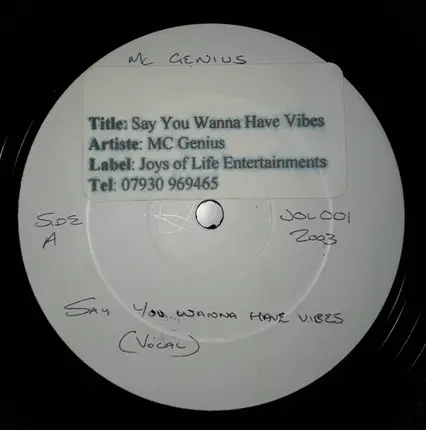 MC Genius - Say You Wanna Have Vibes