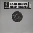 2 x 12inch Vinyl Single - Memphis Bleek - The Understanding - PROMO