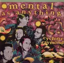 CD - Mental As Anything - Cyclone Raymond