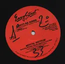 12inch Vinyl Single - Mental Instrum Featuring Windsor Goode & Leon Neal - Bott-ee Rider