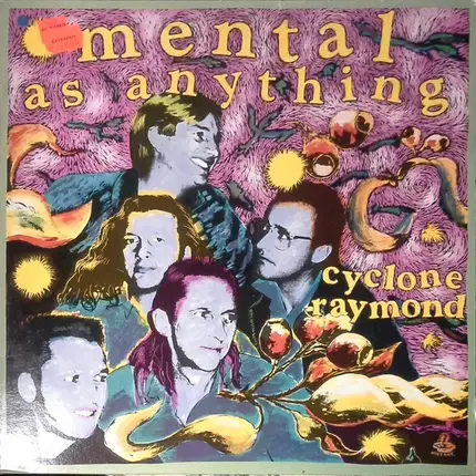 Mental As Anything - Cyclone Raymond