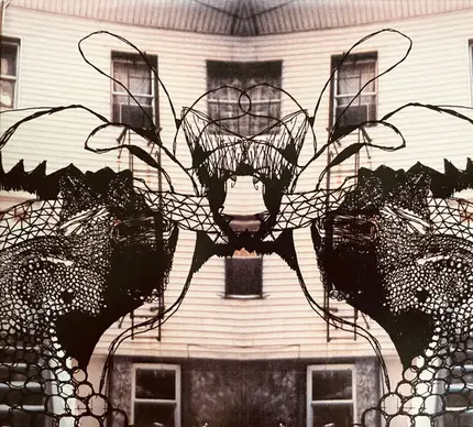 Meneguar - I Was Born at Night