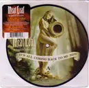7inch Vinyl Single - Meat Loaf Featuring Marion Raven - It's All Coming Back To Me Now