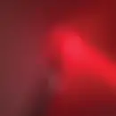 LP - Meat Wave - The Incessant