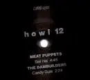 7'' - Meat Puppets, Dambuilders a.o. - Howl 12