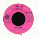 7inch Vinyl Single - Meadow - Here I Am