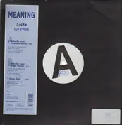 Meaning - Shake The Ruum