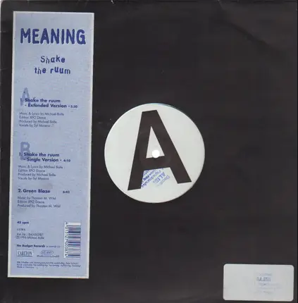 Meaning - Shake The Ruum