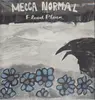LP - Mecca Normal - Flood Plain