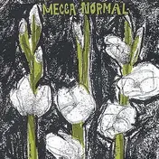 Mecca Normal - Mecca Normaal