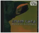 CD - Medwyn Goodall - Anam Cara