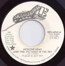 7inch Vinyl Single - Medicine Head - (And The) Pictures In The Sky / Natural Sight