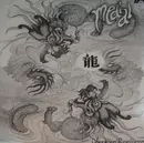 12'' - Medial - Operation Revolution