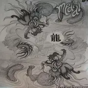 12'' - Medial - Operation Revolution