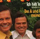 7inch Vinyl Single - Medium Terzett - Ich Hab' Kein Geld / Das A Und O Meines Lebens
