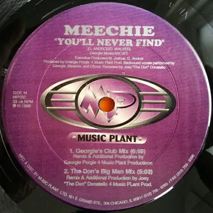 Meechie - You'll Never Find