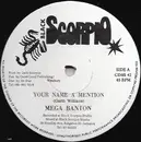 12inch Vinyl Single - Mega Banton / Terry Ganzie & Mikey Sing - Your Name A Mention / Down Inna Yard