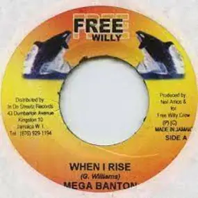 Mega Banton - When I Rise