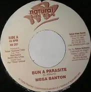 Mega Banton / Alozade - Bun A Parasite / Not Ready For Di Hype