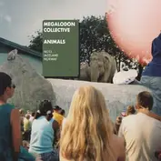 Megalodon Collective